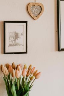 Ferienhaus Kaiser - 6