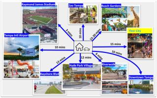 Ideal for couples, small families and small groups- in the Heart of Tampa - 2