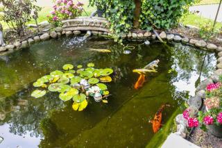 Ferienhaus Dohle - 5