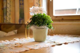 Apartment Dolomitenblick - 8