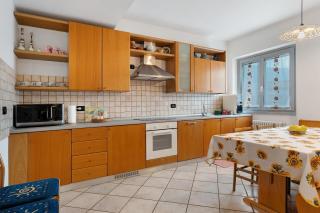 Ciclamino Superior Otto - 4