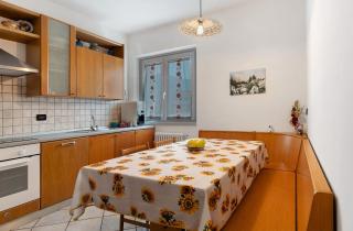 Ciclamino Superior Otto - 5