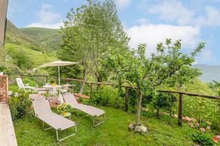 Sassi Scritti - Abete Bianco - 3