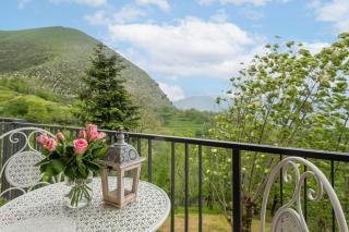 Sassi Scritti - Abete Bianco - 7