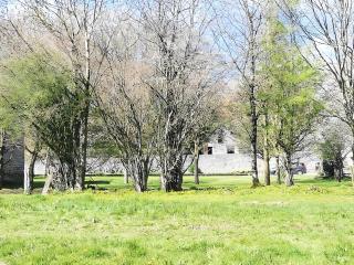 Gîte Essentiel - La Dauvinerie - 8