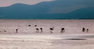 Casa Teresa Deltebre - 7