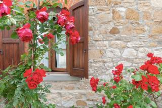 Agriturismo La Cipressaia - 2