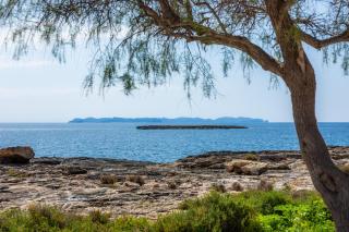 Apartamentos Colonia Sant Jordi - 7