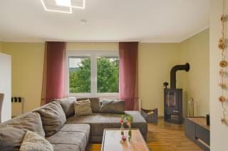 Harzblick am Waldesrand - 8
