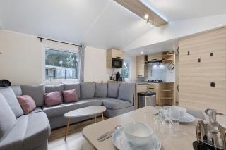Mobile Home du Bois Dormant - 1