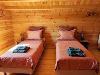 Au chant des oiseaux - rouge gorge - 4