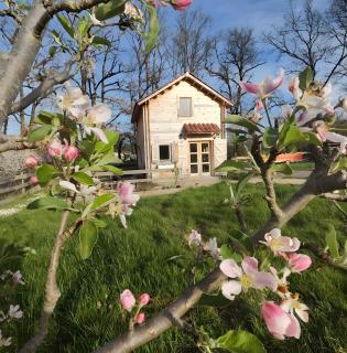 Au chant des oiseaux - rouge gorge - 0