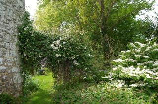 Gîte du Gravier - 9