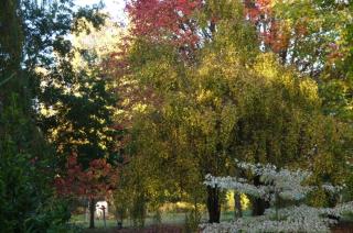 Gîte du Gravier - 6