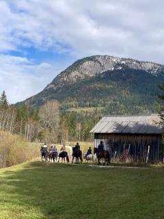 Grimmingblick Apartment mit Pool - 1