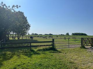 Ferienhof Reimers - 7