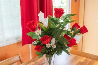 mobile-home camping de la truite - 3