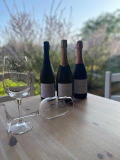 Agriturismo Santa Lorica - Sassetta - Sassetta - 6