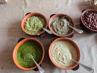 Agriturismo Santa Lorica - Sassetta - Sassetta - 3