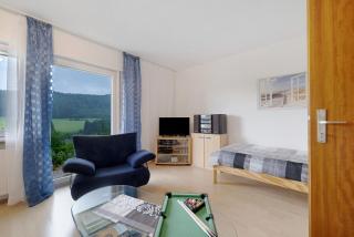 Ferienwohnung Schwäbische Alb - Burladingen - 9