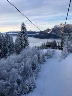 Ferienhaus Seltschach 193 - 8