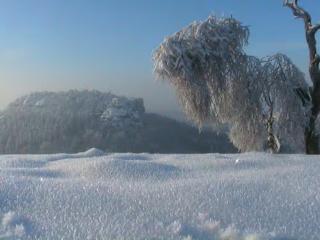 Jörgs Ferienwohnung Lohmen - 6