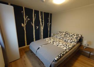 Haus Schnettler mit Sauna - 8