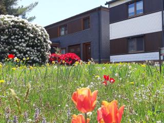 Apartment Berndt by Interhome - 0