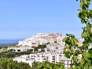 Holiday Home Villa Aurora - piscina panoramica - vista WOW! by Interhome - 7