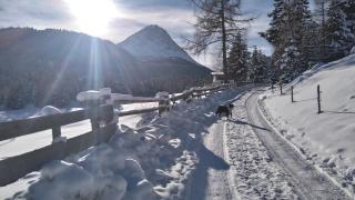 Riatschhof - Nauders - 3