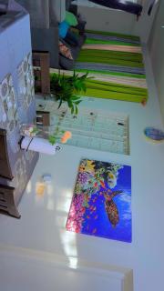 Golden Breeze Stay - 6