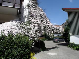 Gästehaus Gutensohn - 7