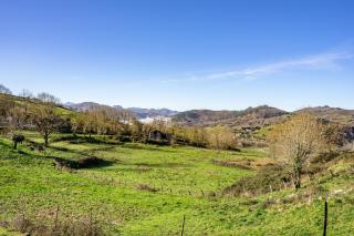Picuastur - 5