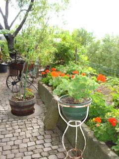 Gîte Éclat De Soleil - 5