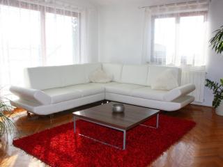 Apartment Große Wohnung in Pješčana Uvala mit Eigenem Balk by Interhome - 4