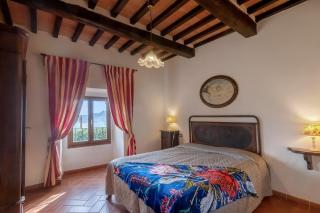 Universal Harmony - Poiana - 7