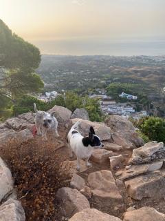 Central Apartment with a view - Mijas - 1