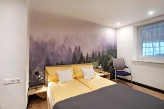 Heimelige Schwarzwaldwohnung Stein - 1