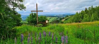 Ferienwohnung Traumblick - 1