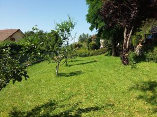 Chalet Jura - 6