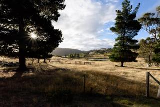Heimat Rural Retreat - Wallaby Way Chalet - 2