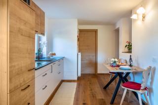 Studio Santnerblick Gfliererhof - 1