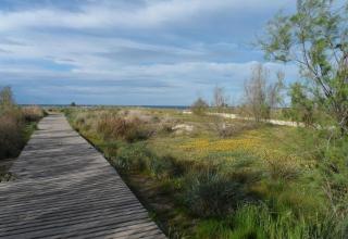 Jardines de Denia 3 - 7