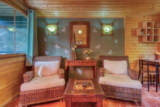 Entre Viejos Olivos - 6