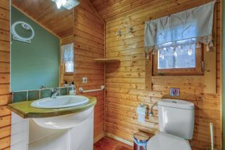 Entre Viejos Olivos - 4