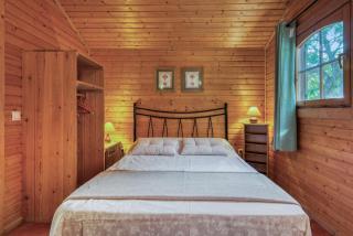 Entre Viejos Olivos - 2