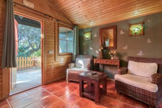 Entre Viejos Olivos - 1