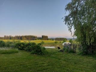 Krottenhill 2 ¼ - 9