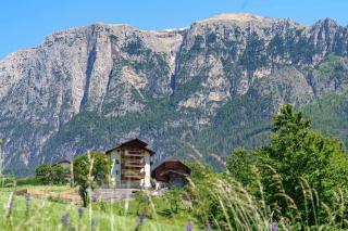 Schartnerhof Ferienwohnung Thymian - 3