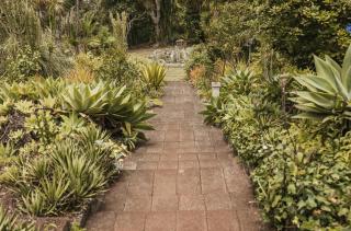 Bastion del Drago - 6